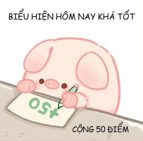 Meme heo 9