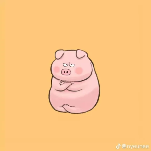 Meme heo 18