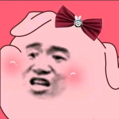 Meme heo 23