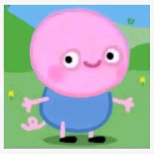 Meme heo 33