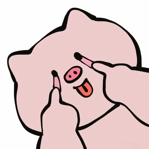 Meme heo 42