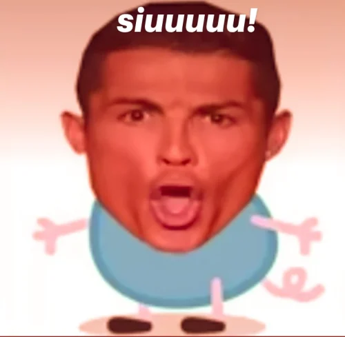 Meme heo 52