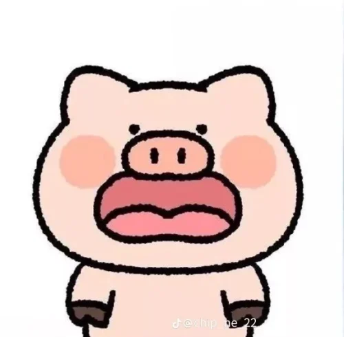 Meme heo 54