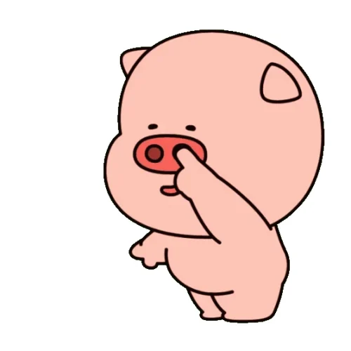Meme heo 60