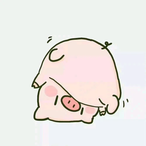 Meme heo 6