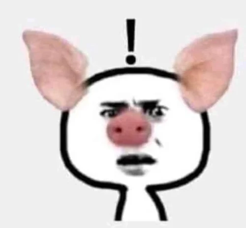 Meme heo 13