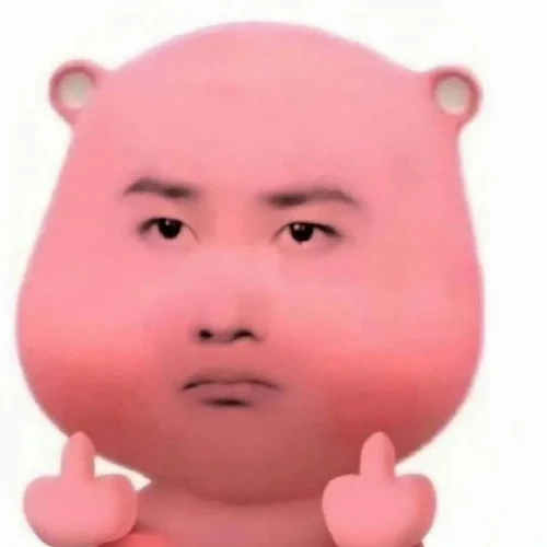 Meme heo 16