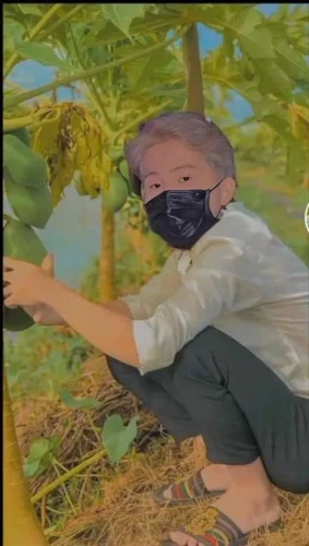 Meme Jack 55