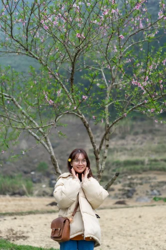 Meme khỉ 10