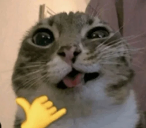 Meme like 17