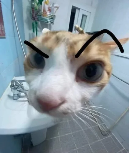 Meme like 40