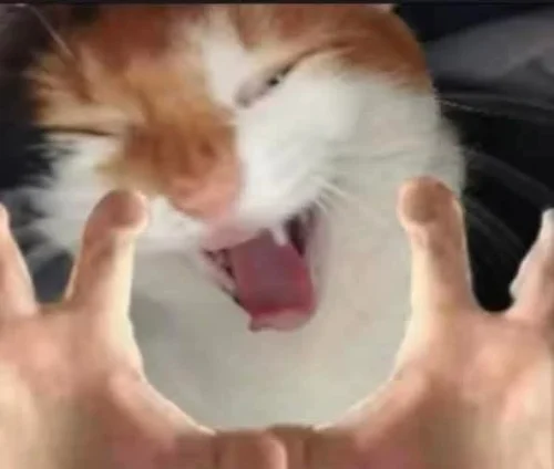Meme like 49