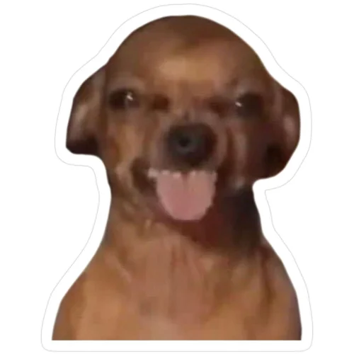 Meme like 55