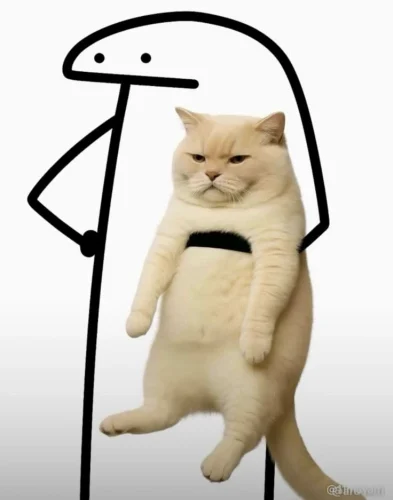 Meme like 4