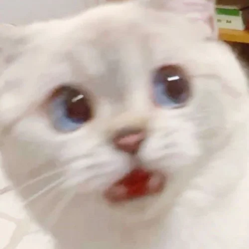 Meme like 58