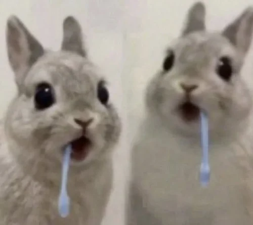 Meme like 3