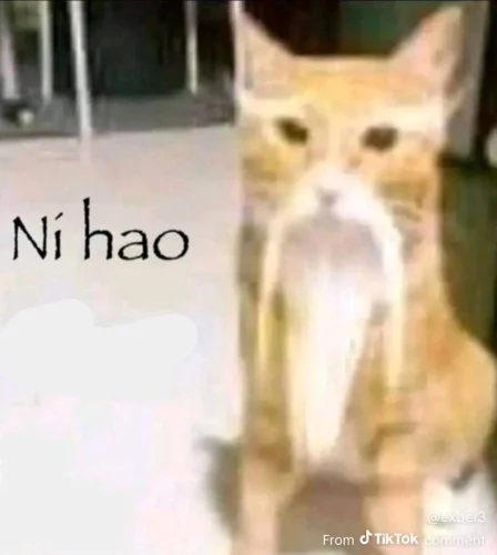 Meme like 10