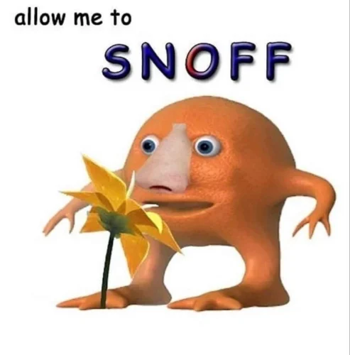 Meme like 24