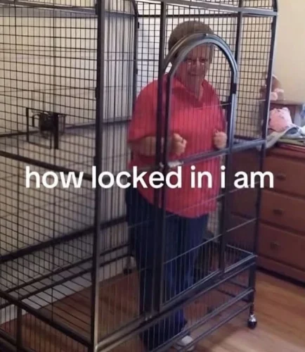 Meme like 27