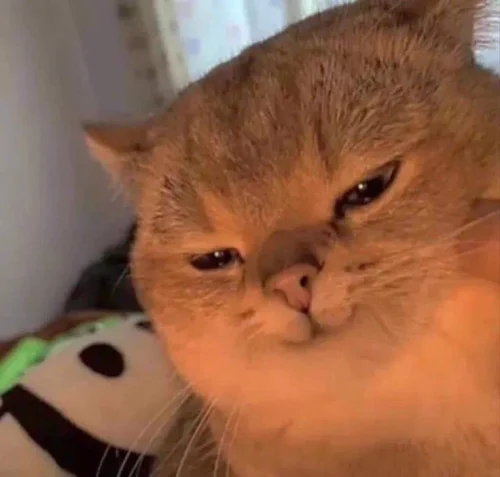 Meme like 38