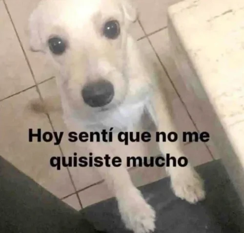 Meme like 51