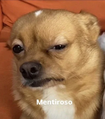 Meme like 52