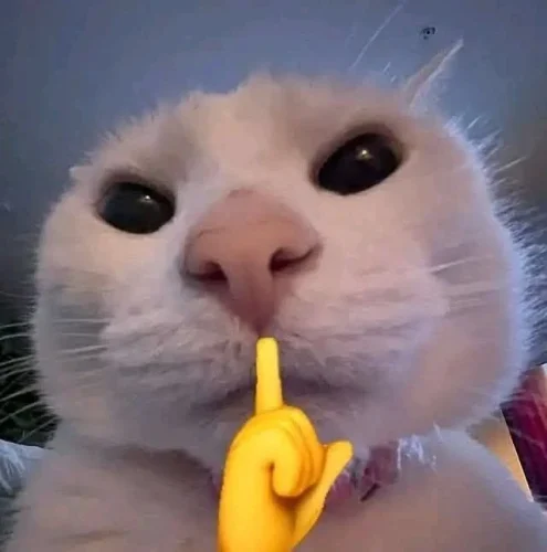 Meme like 54