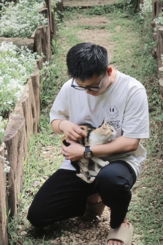 Mèo trắng chụp cận mắt đen tròn, biểu cảm ngơ ngác không hiểu gì