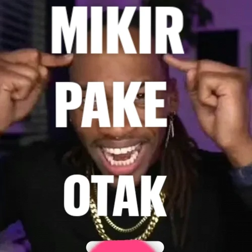 Meme mèo 24