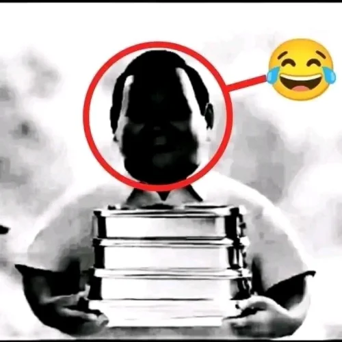 Meme mèo 33