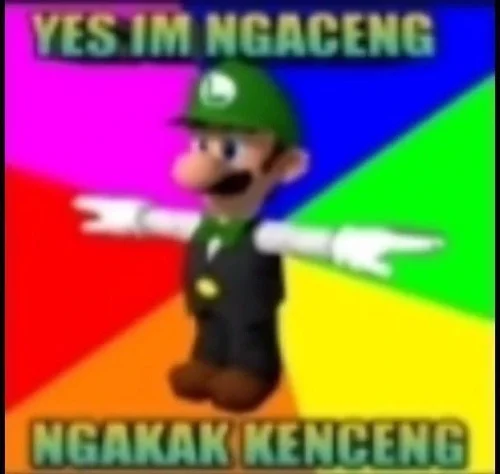 Meme mèo 38