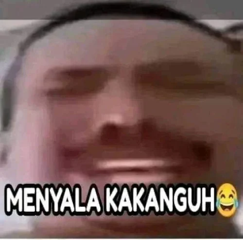 Meme mèo 40