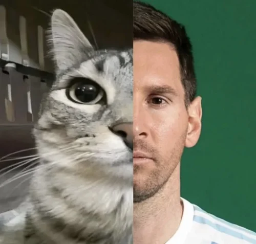 Meme Messi 24