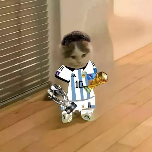 Meme Messi 41