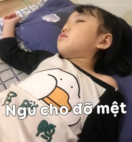 Meme mệt mỏi 7