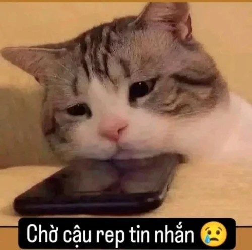 Meme mệt mỏi 11