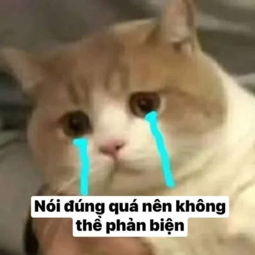 Meme mệt mỏi 17
