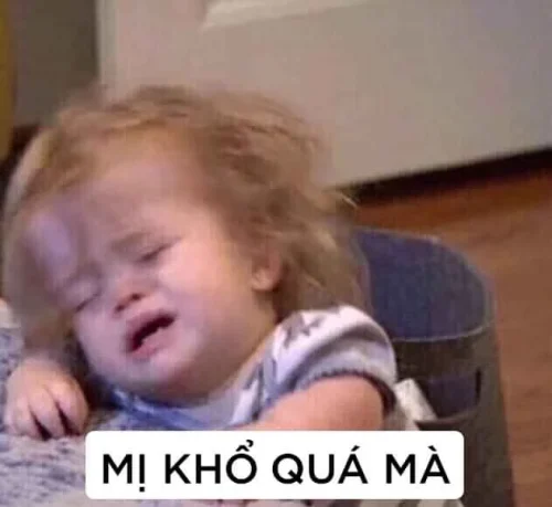 Meme mệt mỏi 24