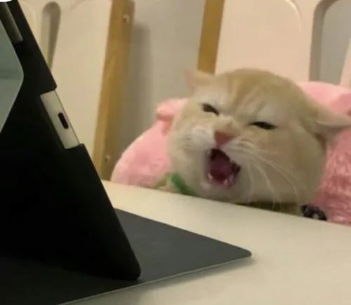 Meme mệt mỏi 25