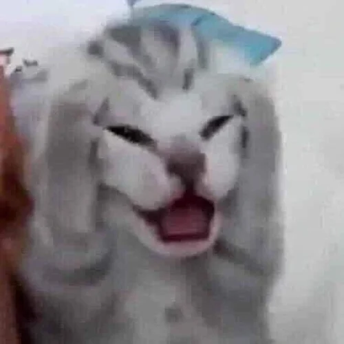 Meme mệt mỏi 26