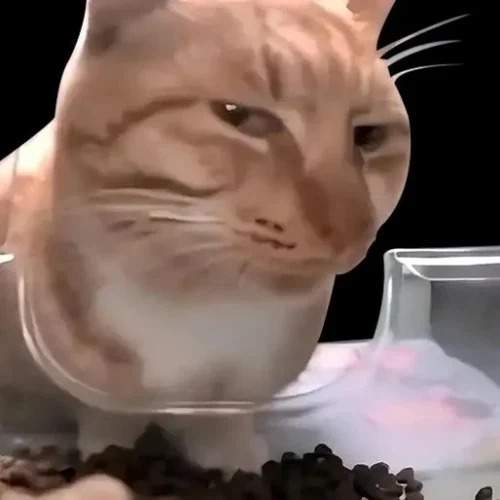 Meme ngại 16