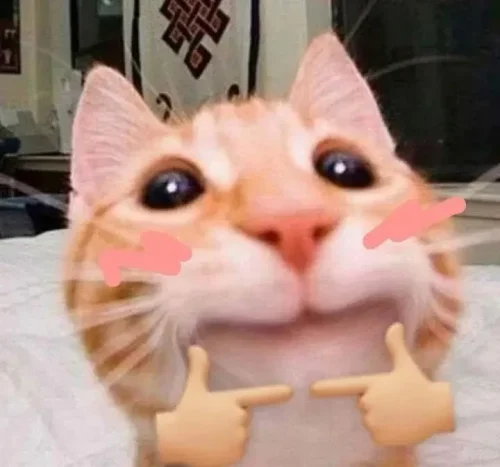 Meme ngại 17