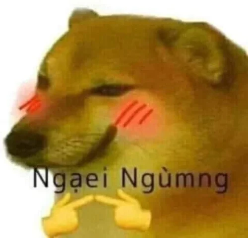Meme ngại 26