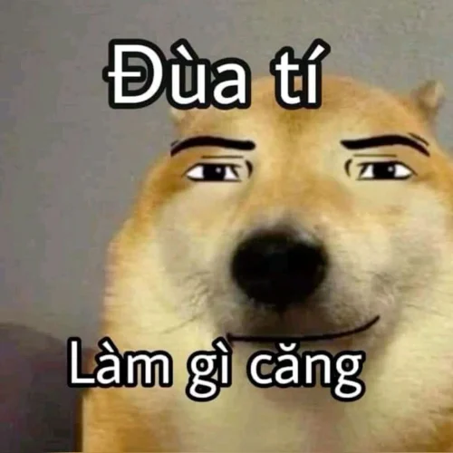 Meme ngại 39