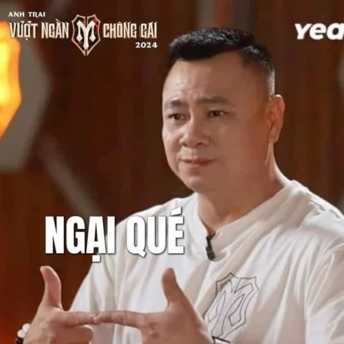 Meme ngại 44