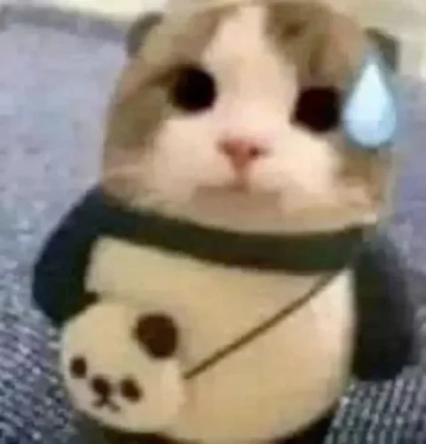Meme ngại 45