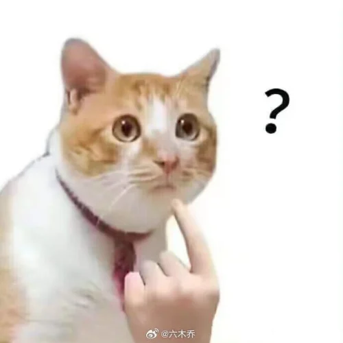 Meme ngại 7