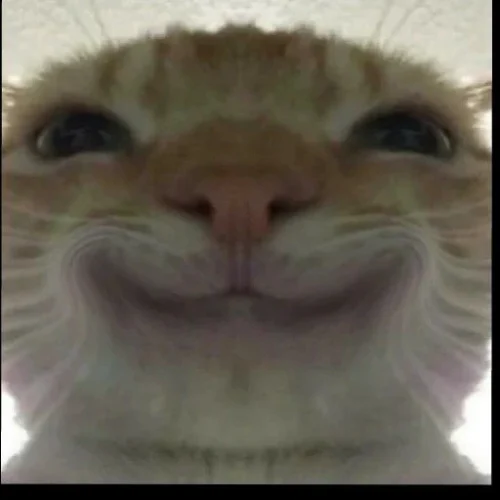 Meme ngại 25