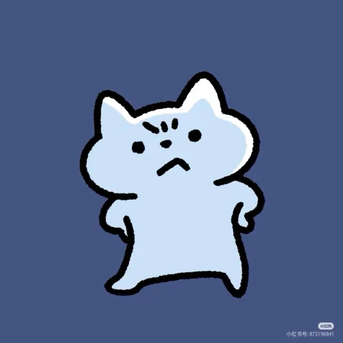 Meme ngại 27