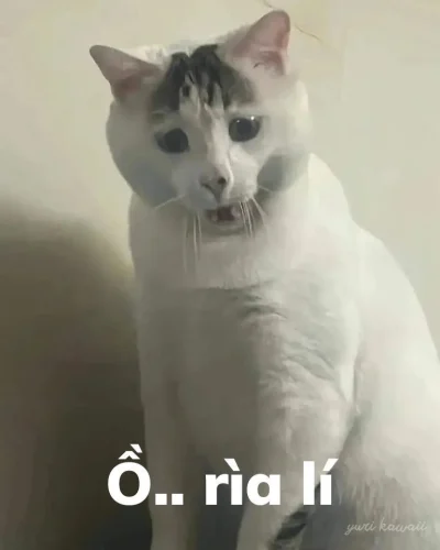 Meme ngại 35